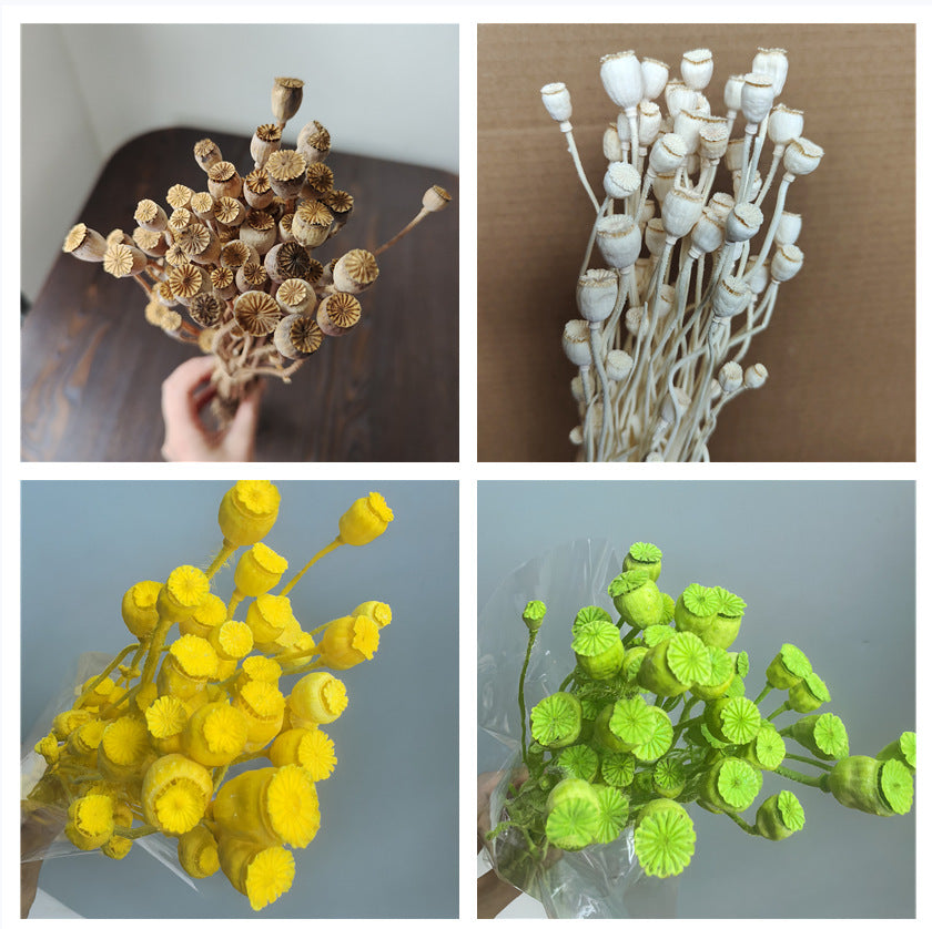 Dried Flower, Yu Meiren Fruit Diy Material Handmade Corsage Headdress Material