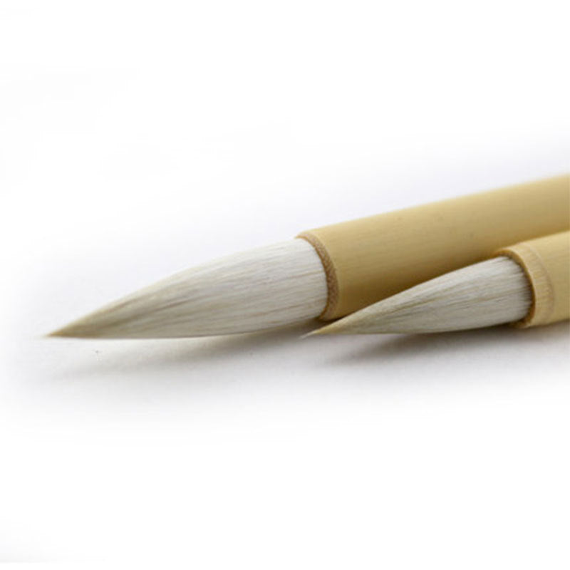 Painting watercolor  brush
