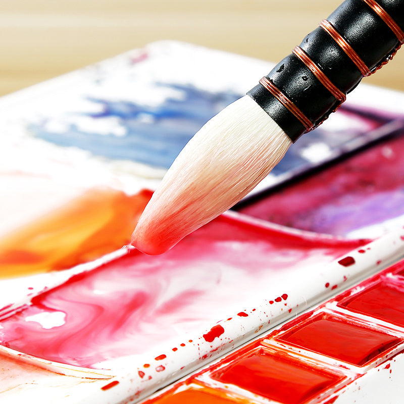 Pointed watercolor brush