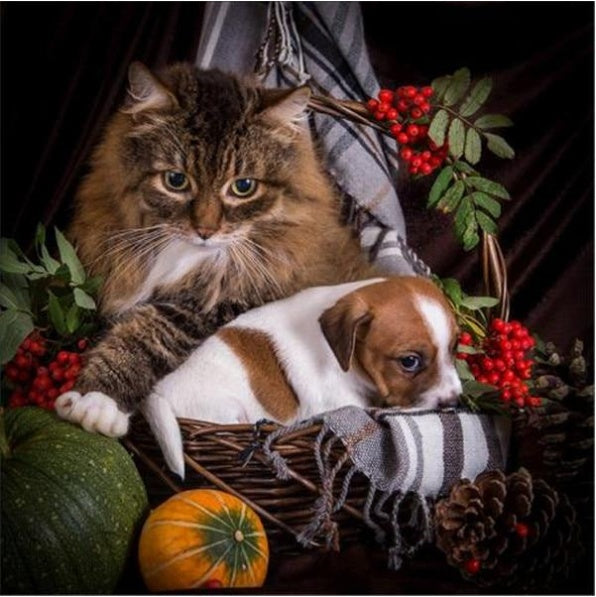 DIY Diamond Painting