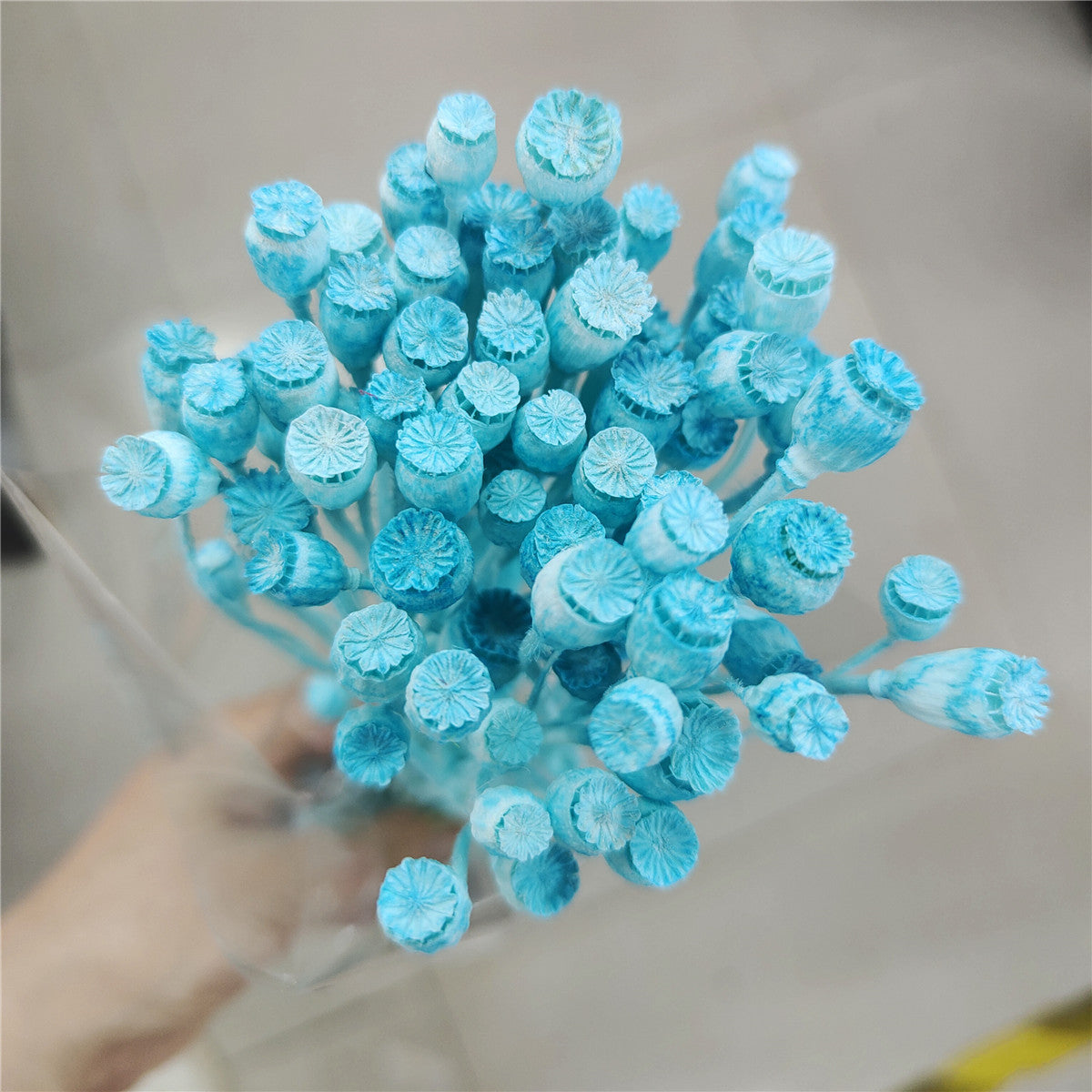 Dried Flower, Yu Meiren Fruit Diy Material Handmade Corsage Headdress Material