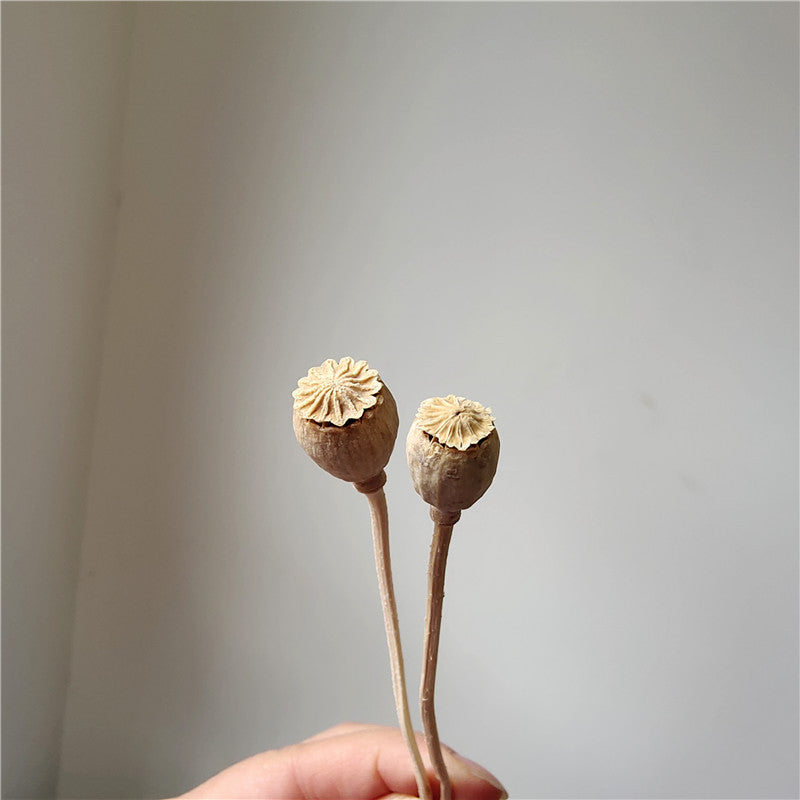 Dried Flower, Yu Meiren Fruit Diy Material Handmade Corsage Headdress Material