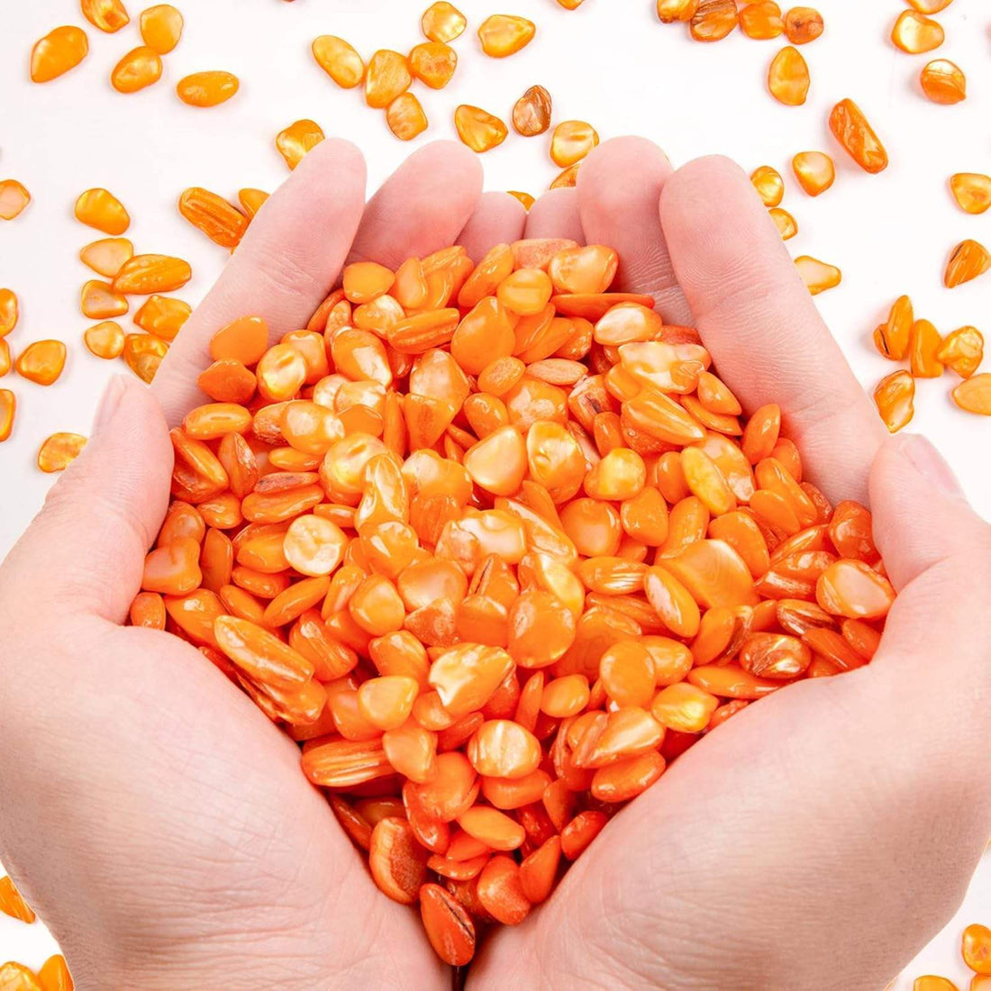 Small Natural Crushed Shells For Crafts About 2LB 900g 31.74oz DIY Beaching Wedding Decoration Vase Fillers