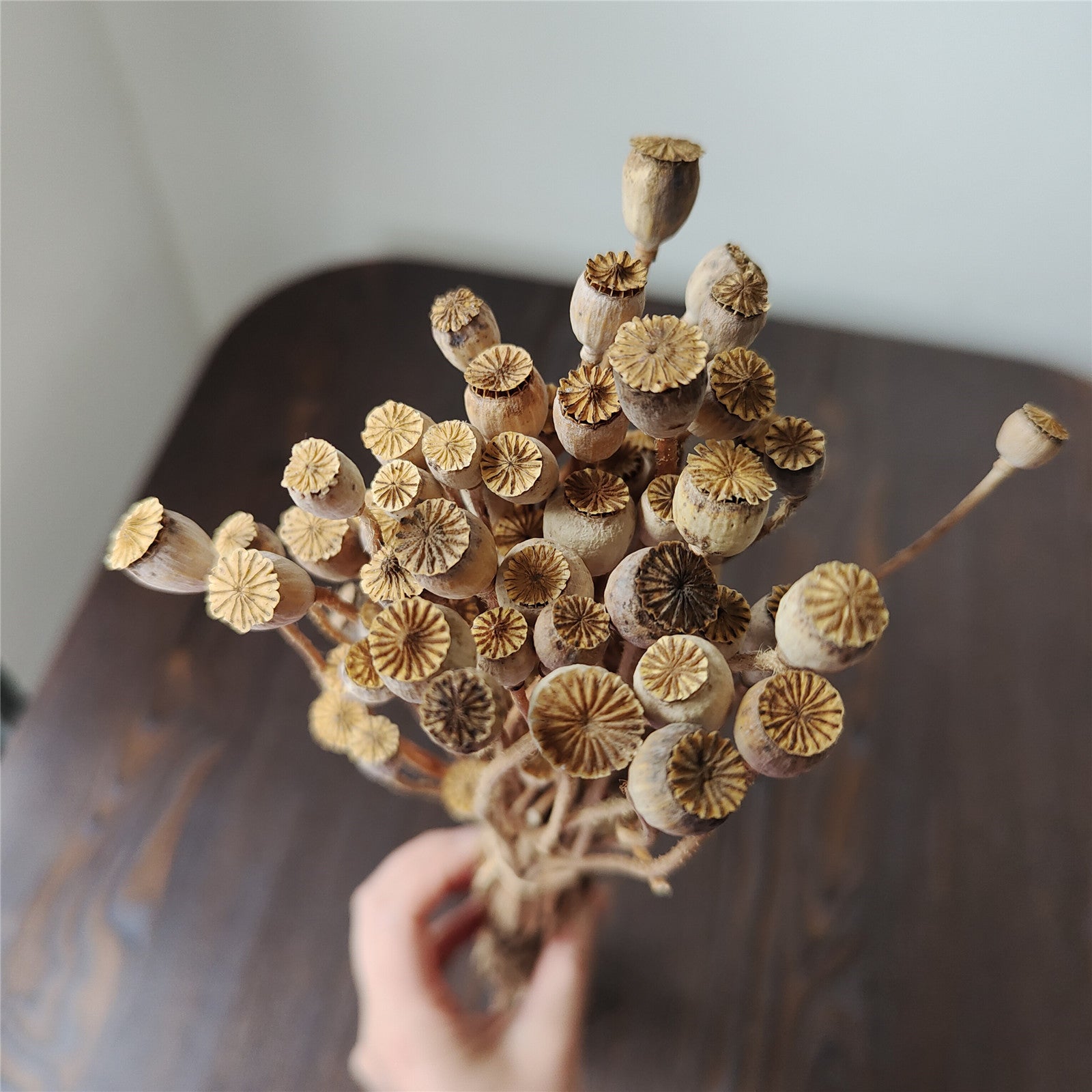 Dried Flower, Yu Meiren Fruit Diy Material Handmade Corsage Headdress Material