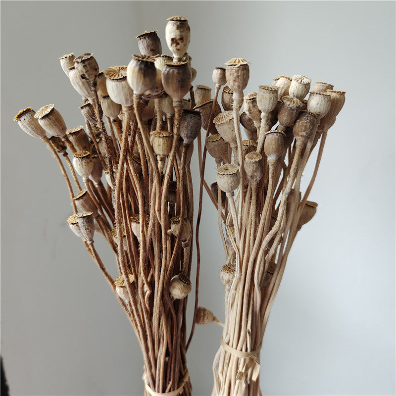 Dried Flower, Yu Meiren Fruit Diy Material Handmade Corsage Headdress Material