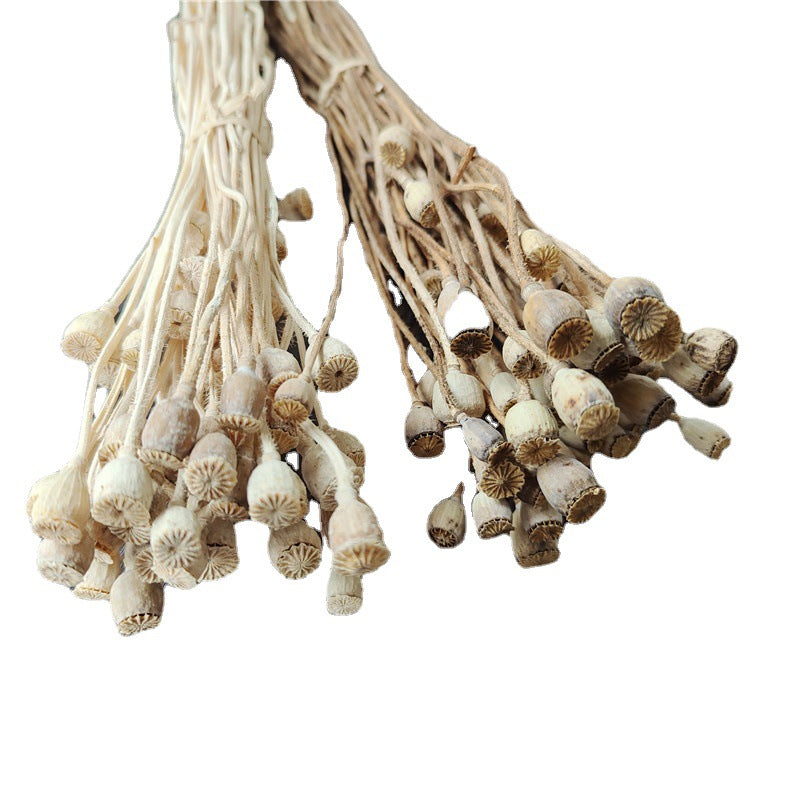 Dried Flower, Yu Meiren Fruit Diy Material Handmade Corsage Headdress Material