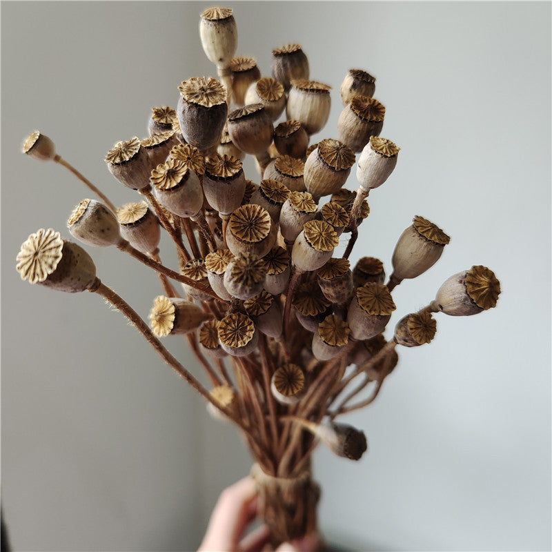 Dried Flower, Yu Meiren Fruit Diy Material Handmade Corsage Headdress Material